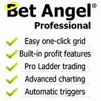 bet angel professional